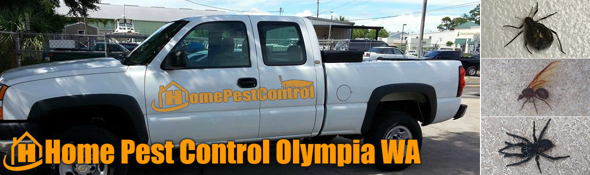 Home Pest Control Olympia